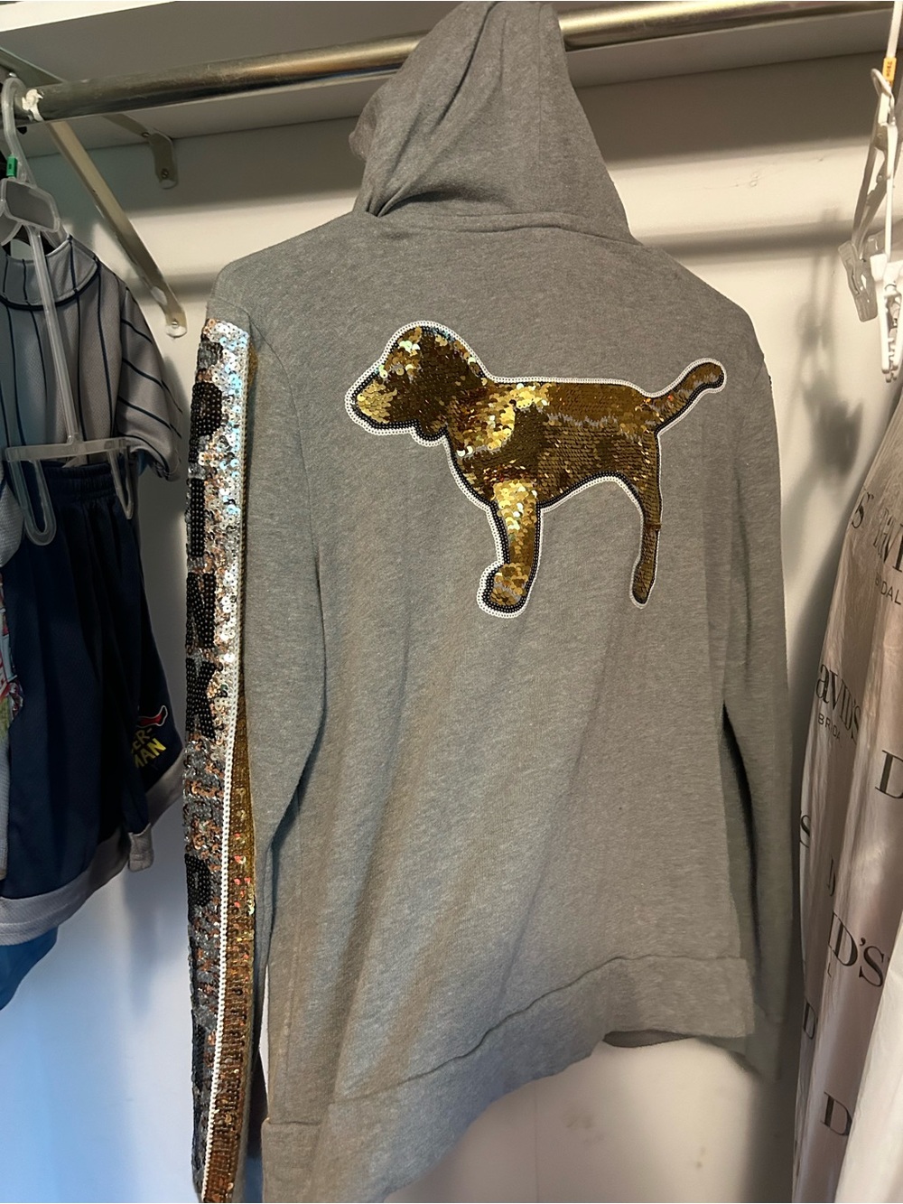 VS Pink Dog Y2K Bling Logo Grey Hoodie - Gold Accent